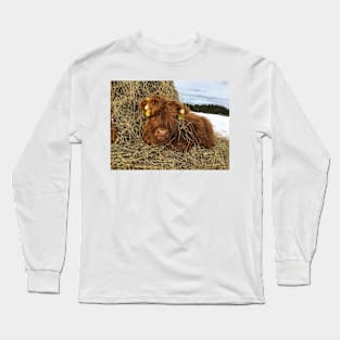 Scottish Highland Cattle Calf 1717 Long Sleeve T-Shirt